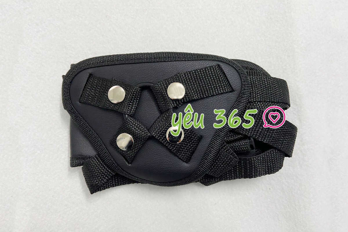 blank-385 Dây đeo dương vật giả Lovetoy cho Les 1