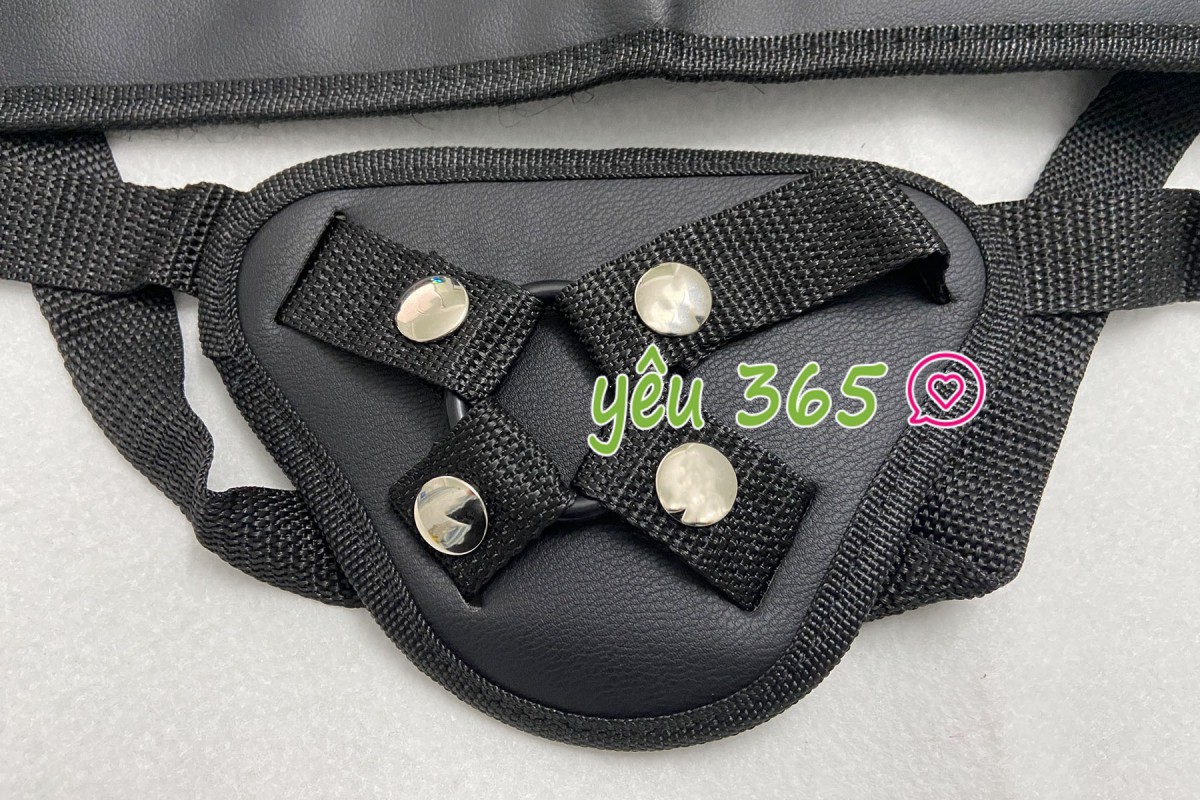 blank-385 Dây đeo dương vật giả Lovetoy cho Les 1